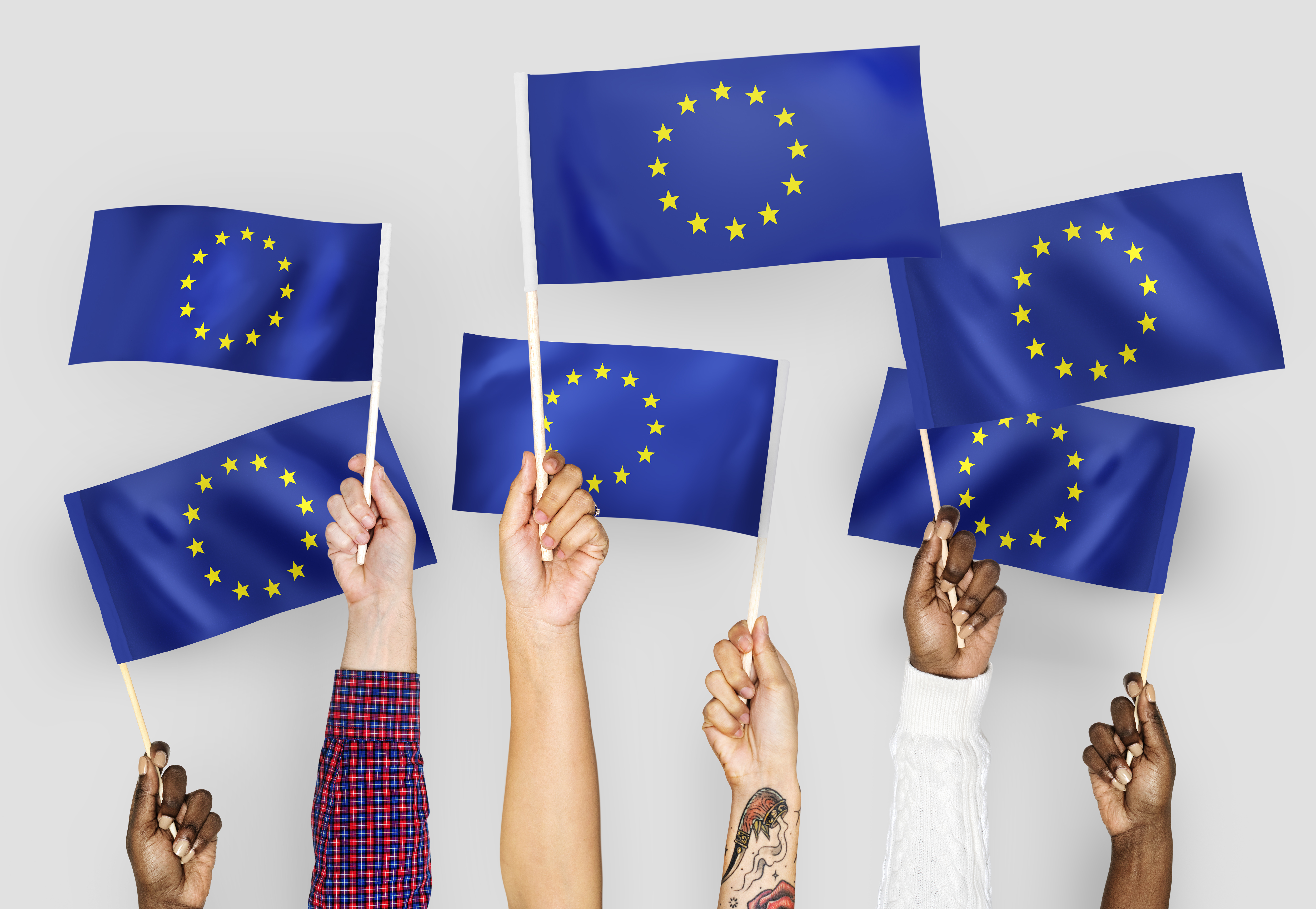 Celebrăm Independența, Pacea și Construcția Europeană